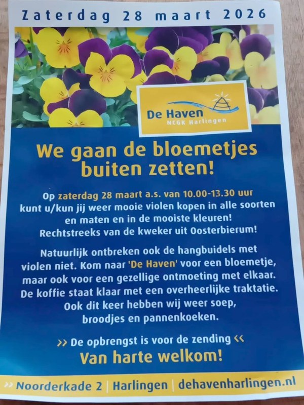 Violenverkoop in de Haven