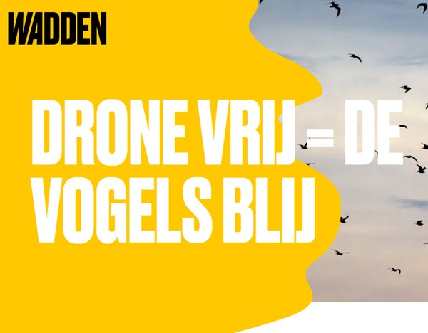 Visit Wadden roept op om drones thuis te laten bij bezoek aan Waddengebied