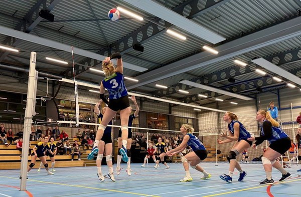 VVH Nieuws week 14 - 2026