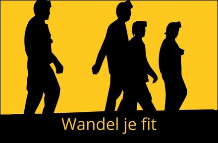 Wandel je Fit in Harlingen: Elke dinsdag een gezonde start van de dag!