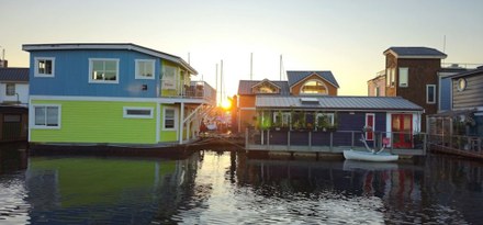 Wonen aan het water in Harlingen: zo houd je ratten en muizen buiten de deur