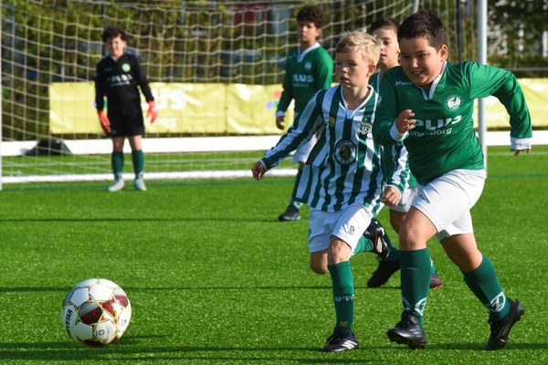 Zeerobben nieuws week 41-2026