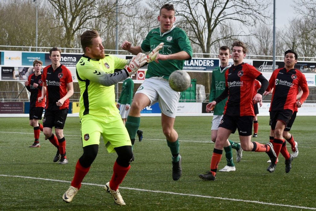 Zeerobben nieuws week 10 - 2026