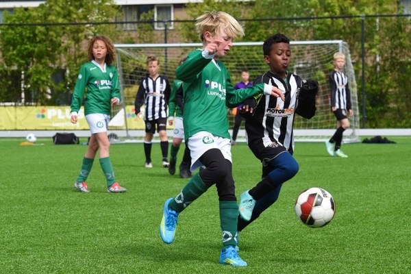Zeerobben nieuws week 15 - 2026