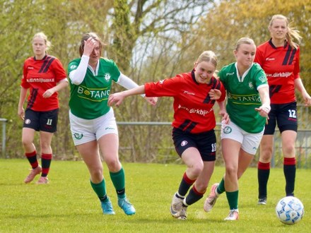 Zeerobben nieuws week 16 - 2026