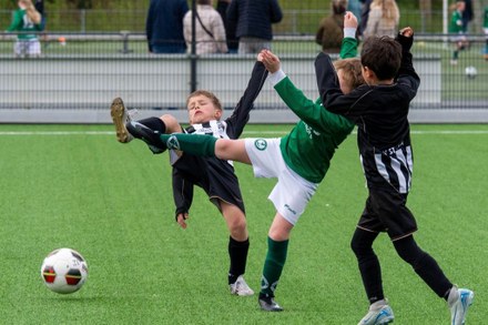 Zeerobben nieuws week 17 - 2026