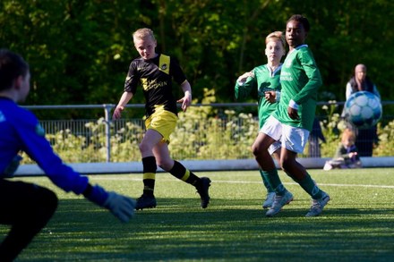 Zeerobben nieuws week 20 - 2025