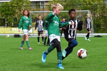 Zeerobben nieuws week 21 - 2026