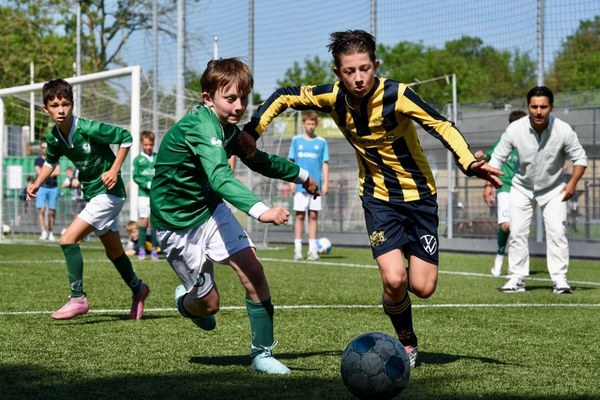 Zeerobben nieuws week 23 - 2026
