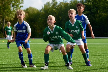 Zeerobben nieuws week 36 - 2025