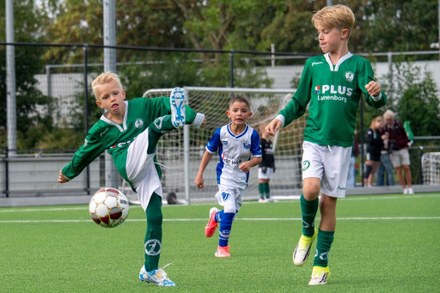 Zeerobben nieuws week 38 - 2026