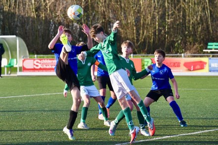 Zeerobben nieuws week 4 - 2026