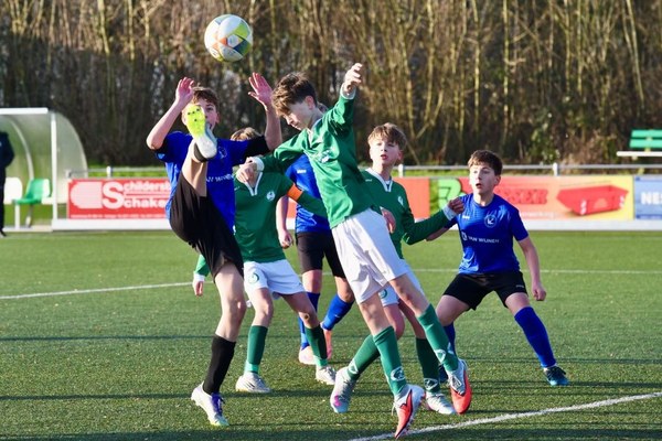 Zeerobben nieuws week 4 - 2026