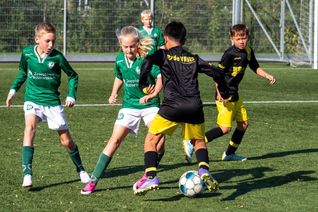 Zeerobben nieuws week 40 - 2026