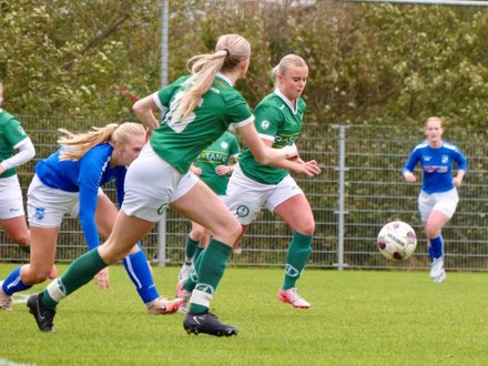 Zeerobben nieuws week 44 - 2025