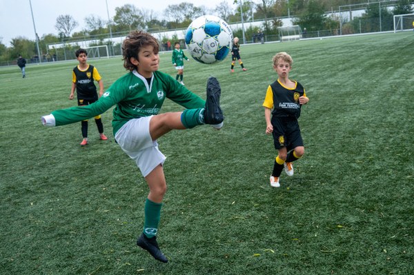 Zeerobben nieuws week 44 - 2026
