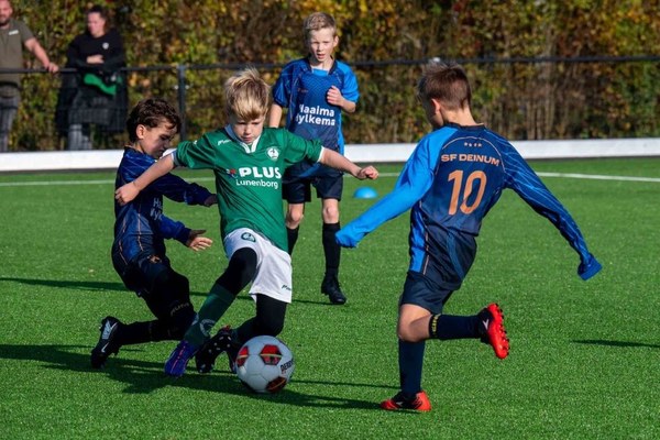 Zeerobben nieuws week 46 - 2025