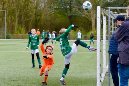 Zeerobben nieuws week 47 - 2025