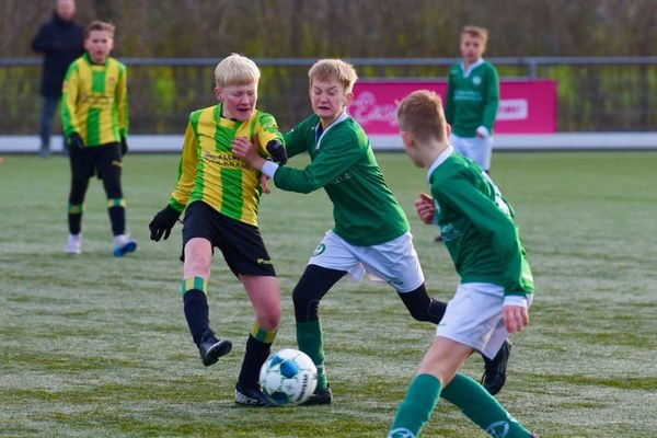 Zeerobben nieuws week 48 - 2025