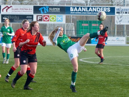 Zeerobben nieuws week 5 - 2026