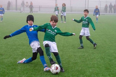 Zeerobben nieuws week 7 - 2026