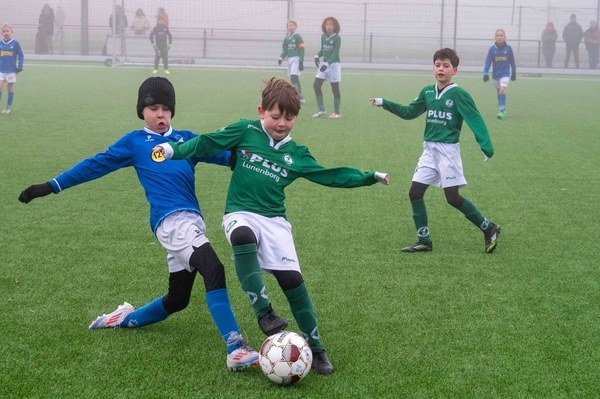 Zeerobben nieuws week 7 - 2026