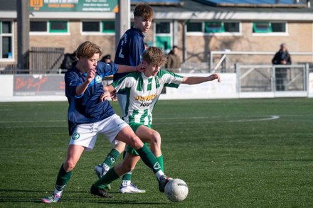 Zeerobben nieuws week 8 - 2026