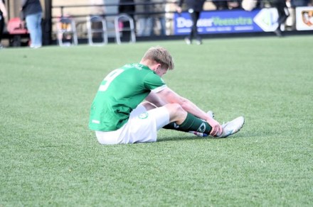 Zeerobben strijdend ten onder