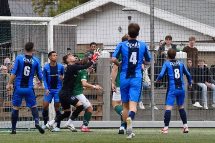 Zeerobben verliest van sterk collectief Burgum