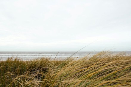 Zomervakantie in Friesland - wat zijn de leukste activiteiten?